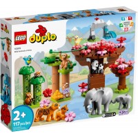 Конструктор LEGO DUPLO Town Дикие животные Азии (10974)