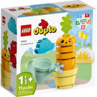 Конструктор LEGO DUPLO My First Морковь на грядке (10981)
