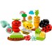 Конструктор LEGO DUPLO My First Органічний город (10984) title=