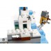 Конструктор LEGO Minecraft Замерзшие верхушки (21243) title=