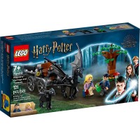 Конструктор LEGO Harry Potter Hogwarts Карета и Тестралы (76400)