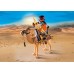 Playmobil 5389 - Египетский воин с верблюдом - игровой набор Плеймобил History title=