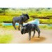 Playmobil 6943 - Гну - фігурки Плеймобіл Wild Life title=