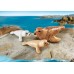Playmobil 9069 Тюлень с детёнышами - фигурки Плеймобил title=