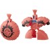 Іграшка Hasbro Transformers Ботботс Секретна серія (E3487) title=