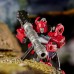Игрушка Hasbro Transformers  Война за Кибертрон Клиффджампер, 14 см (E7120/E7155) title=