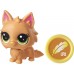 Игровой набор-сюрприз Hasbro Littlest Pet Shop Счастливые любимчики (E7894) title=