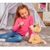 М'яка інтерактивна іграшка Chi Chi Love Собачка Baby Boo, 60 звуків, 30 см (5893500) title=