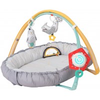 Розвиваючий музичний кокон з дугами Taf Toys Затишне гніздечко 4-в-1 для новонароджених (12235)