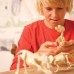 Набір для розкопок 4M KidzLabs Скелет трицератопса (00-03228) title=