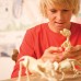 Набір для розкопок 4M KidzLabs Скелет стегозавра (00-03229) title=