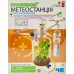 Набор для опытов 4M Green Science Метеостанция, укр. (00-03279/ML) title=