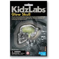 Сяюча модель людського черепа 4M KidzLabs (00-03313)