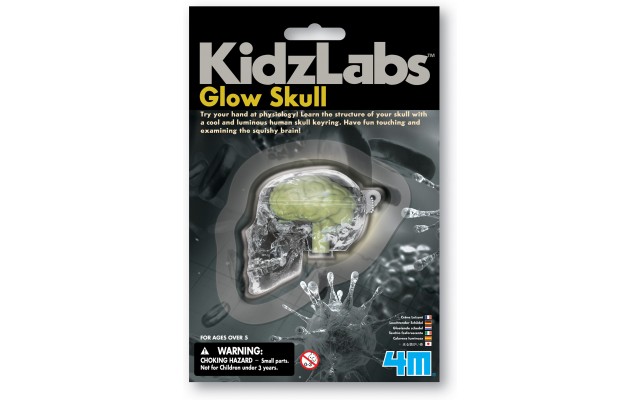 Светящаяся модель человеческого черепа 4M KidzLabs (00-03313)