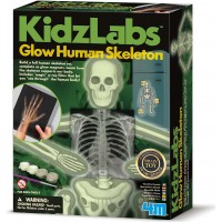 Детский набор 4M KidzLabs Изучаем скелет человека (00-03375)