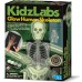 Детский набор 4M KidzLabs Изучаем скелет человека (00-03375) title=