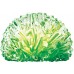 Набор для опытов 4M Crystal Growing Выращивание кристаллов (00-03918/EU/ML) title=