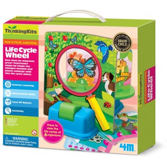 Дитячий набір 4M Thinking Kits Життєвий цикл тварин і рослин (00-04693)