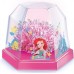Набір для дослідів 4M Disney Princess Вирощування кристалів (00-06217/EU) title=