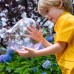 Набір для створення бульбашок 4M Magic Goo (00-06306) title=