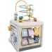 Бізікуб Viga Toys PolarB 5-в-1 з дерева (44030) title=