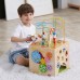 Бізікуб дерев'яний Viga Toys Мультикуб 5 в 1 (44591) title=