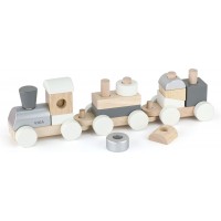 Дерев'яний поїзд-пірамідка Viga Toys Екокубики (51611)