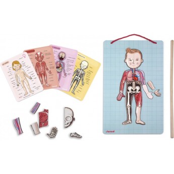 Игровой магнитный набор Janod Тело человека (J05491)