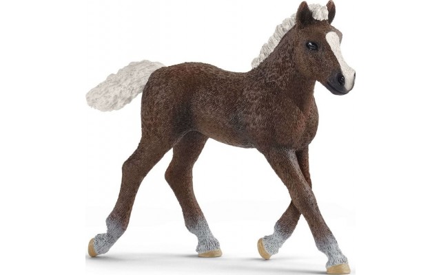 Фигурка Schleich Шварцвальдский жеребенок (13899)