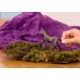Фігурка Schleich Перуанське лоша (13954) title=