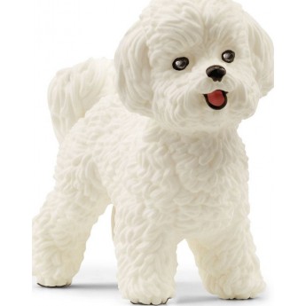 Фігурка Schleich собака Бішон Фрізе (13963)