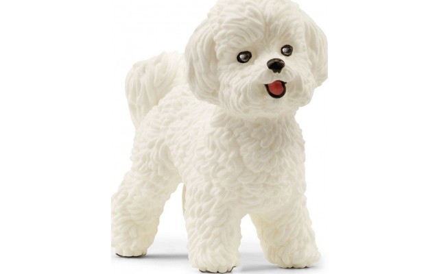 Фигурка Schleich собака Бишон Фризе (13963)