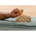 Фігурка Schleich дитинча Каракал (14868) title=