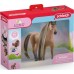 Фігурка коня Schleich Beauty Ахалтекінський жеребець з аксесуарами (42621) title=
