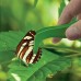 Детский набор для исследований Edu-Toys Nature Science 6 в 1 (BL128) title=