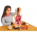 Анатомическая обучающая модель человека Edu-Toys сборная 27 см, 8 эл. (MK027) title=