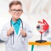 Обучающая модель глазного яблока Edu-Toys сборная 14 см, 35 эл. (SK007) title=