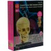 Обучающая модель черепа с нервами Edu-Toys сборная 9 см (SK010) title=