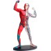 Навчальна модель м'язів і скелета людини Edu-Toys збірна 19 см, 38 ел. (SK056) title=
