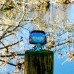 Фігурка Funko Pop Аватар Нейтірі, 9.6 см (65642) title=