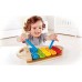 Ксилофон Hape Веселка з 5 нотами та паличками (E0606) title=