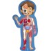 Пазл Hape Тіло людини 100 см, 60 деталей (E1635) title=
