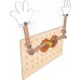 Игровой набор Hape Junior Inventor Большой научный верстак с 79 предметами (E3027) title=