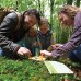 Ігровий набір Hape Nature Fun Гербарій з фарбами (E5574) title=