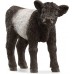 Фигурка Schleich Теленок Галлоуэй (13969) title=
