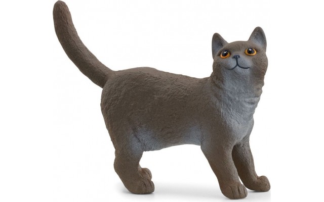 Фігурка Schleich Британська короткошерста кішка (13973)