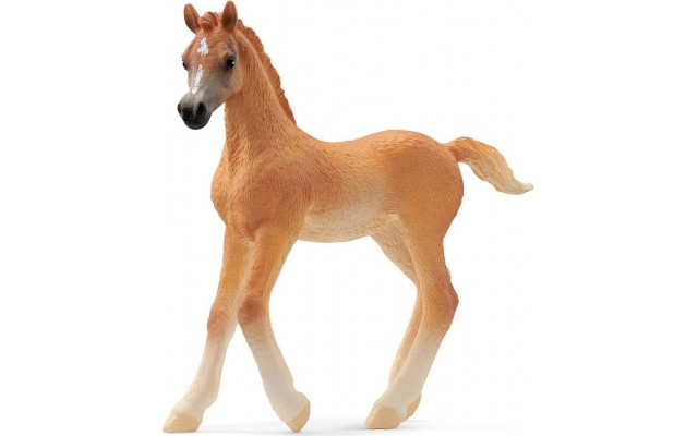 Фигурка Schleich Арабский жеребёнок (13984)