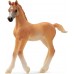 Фигурка Schleich Арабский жеребёнок (13984) title=