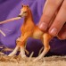 Фигурка Schleich Арабский жеребёнок (13984) title=