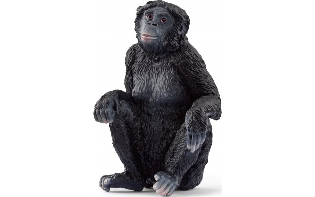 Фігурка мавпи Schleich Бонобо самка (14875)